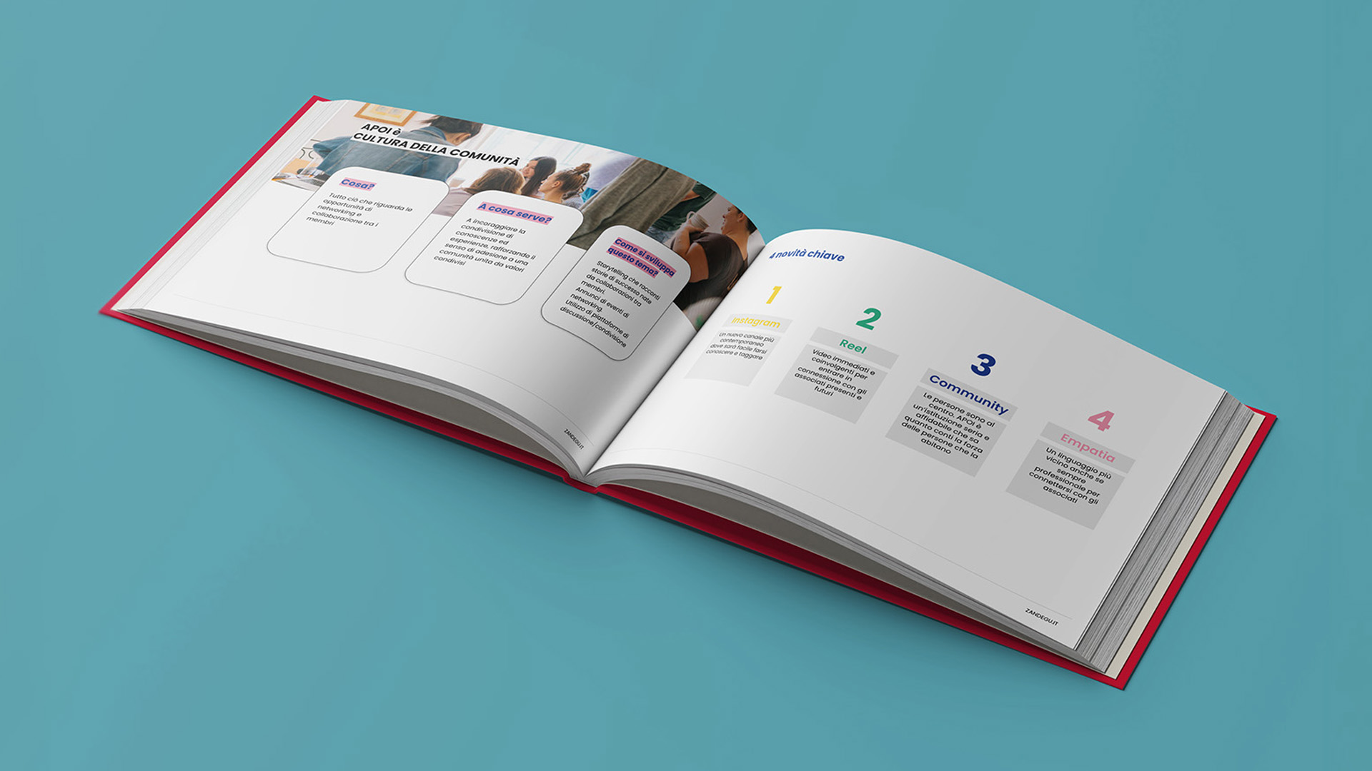 La strategia di APOI