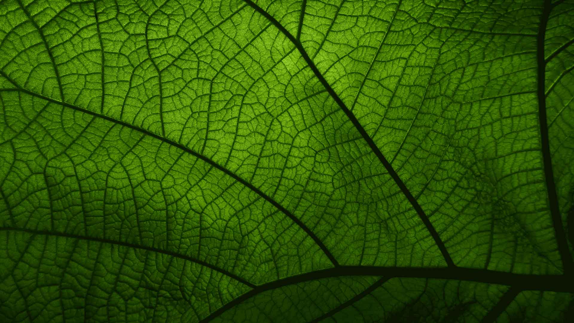 Come riutilizzare i contenuti in modo efficace