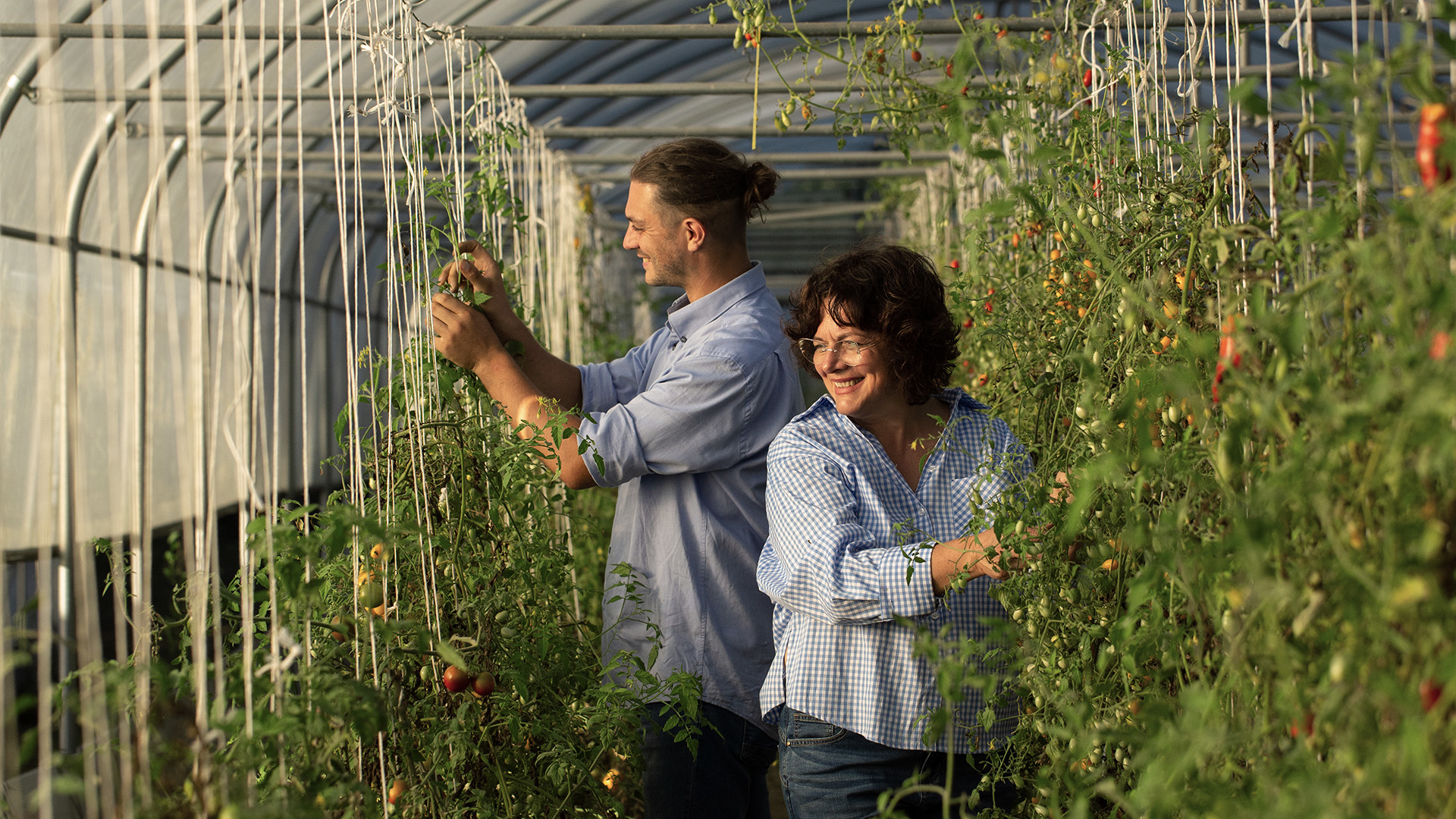 Due dei produttori di Mercato del Corso dentro una serra di pomodori