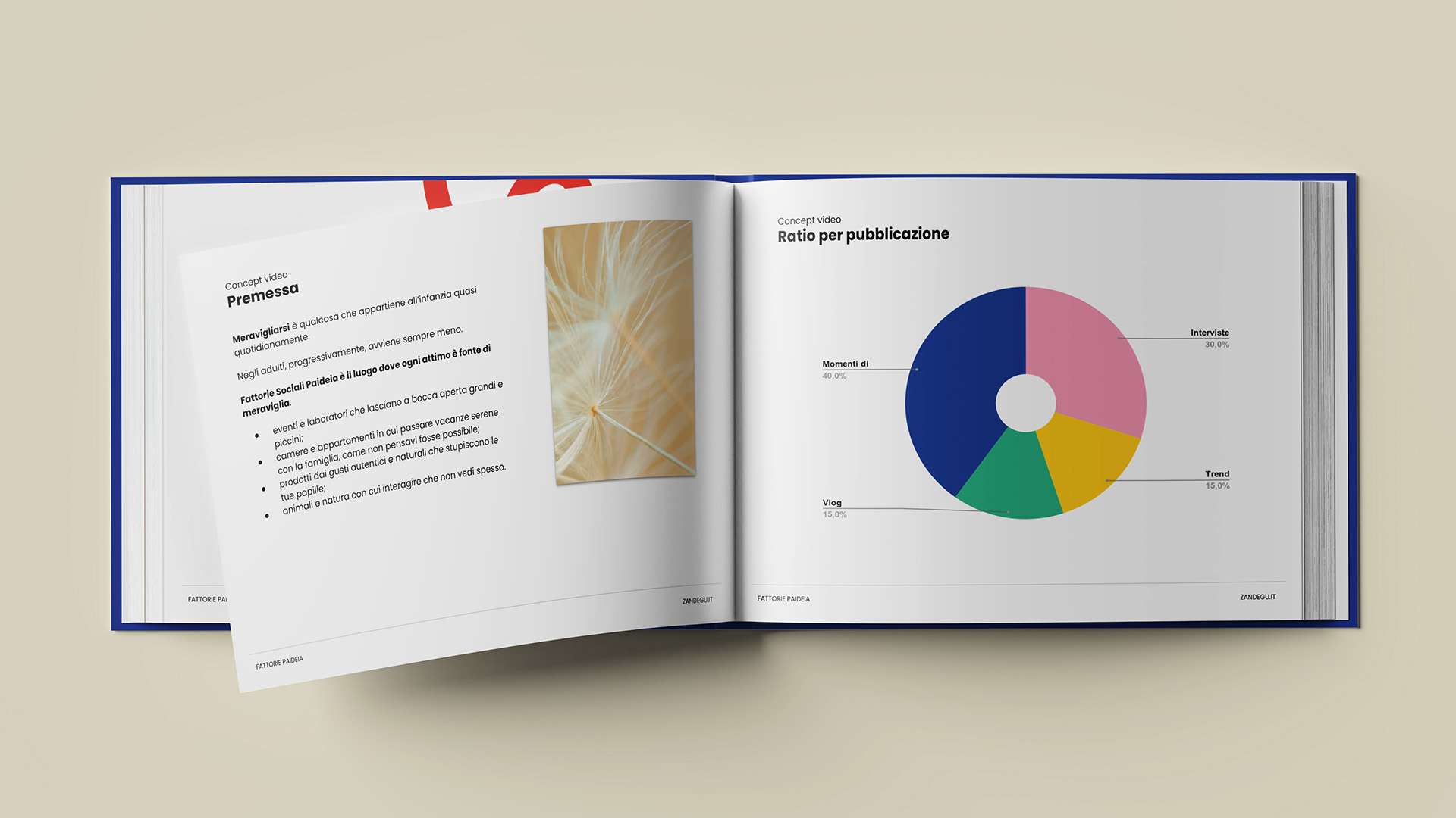 Un libro aperto con la strategia di Fattoria Sociale Paideia